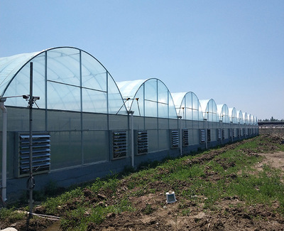 濰坊花卉溫室建設(shè)