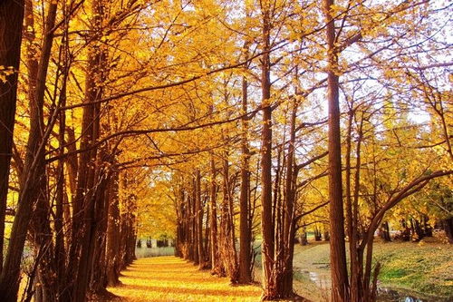 云南玩法新升級,拒絕常規(guī)攻略