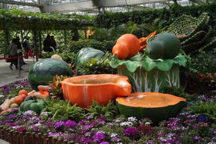 國家農業(yè)公園門票預訂