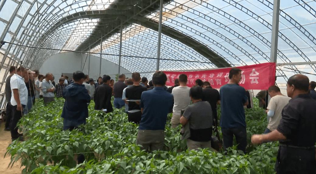 區(qū)蔬菜技術(shù)服務(wù)中心召開普及性農(nóng)民培訓(xùn)暨鄉(xiāng)村振興人才培育現(xiàn)場(chǎng)會(huì)