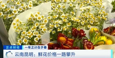 鮮花漲價近4倍 花卉市場銷售商 最貴還是玫瑰