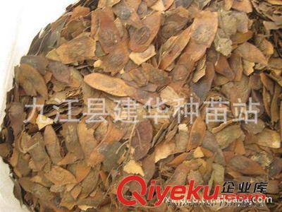 供應 降香黃檀種子 優(yōu)質(zhì)木材 種子 黃花梨種子-九江縣建華種業(yè)提供供應 降香黃檀種子 優(yōu)質(zhì)木材 種子 黃花梨種子的相關介紹、產(chǎn)品、服務、圖片、價格九江縣建華種業(yè)、林木種子;工程種子;園林綠化種子;花卉種子;珍稀樹種;紫玉蘭種子;羅漢松種子;黃山欒種子;小葉雞爪槭種子;桂花種子;濕地松種子;雪松種子;楠木種子;南方紅豆杉種子;櫸樹種子;杉木種子;皂角種子;楊梅種子;馬尾松種子;藍花楹種子