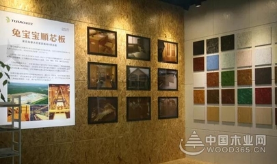 兔寶寶董事長丁鴻敏率隊考察加拿大,洽談順芯板深度合作