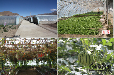 網(wǎng)路媒體走進日喀則 感受藏民經(jīng)濟飛躍發(fā)展