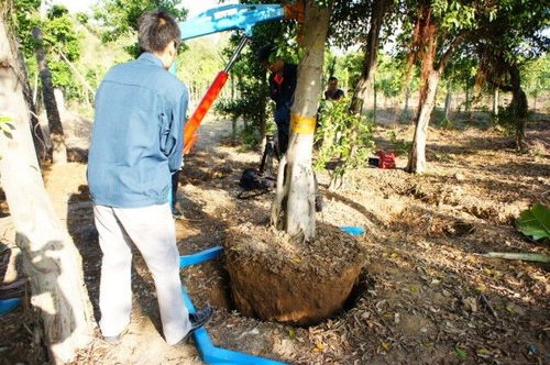 挖樹機 鋸齒挖樹機 多功能挖樹機使用說明
