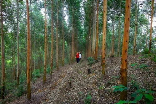 好消息 土地承包到期再延長,最長可以達到50年