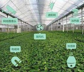 大眾銳評 這的農(nóng)產(chǎn)品為何能 吃干榨盡