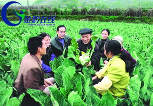 保持先進性 建設(shè)新農(nóng)村 全省農(nóng)村先進性教育活動學習動員階段掠影