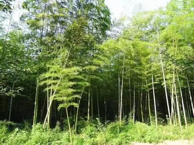 小長假最全馬鞍山出游攻略,爬山、溫泉、公園&hellip;想怎么嗨就怎么嗨!