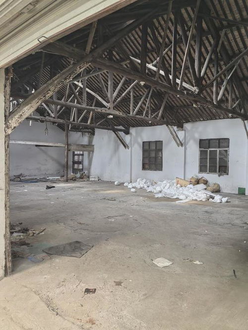 寧波香飄飄食品破產,工廠被拍賣,被人1203萬高價買下