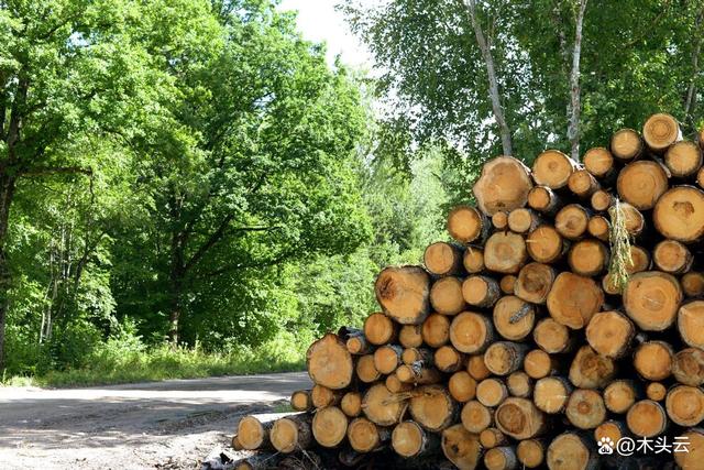 新西蘭旨推進木質生物質能源利用