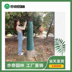 樹木養(yǎng)護用品