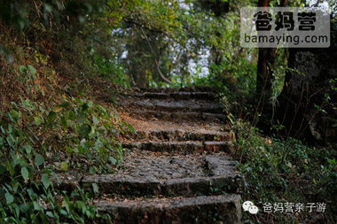 788元一家三口,住西湖畔精品設計別墅,含無敵賞桂山景 營養早餐 創意正餐 下午茶