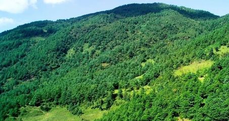 科教無人機(jī)