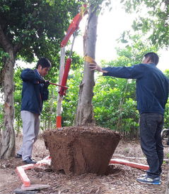 液壓起吊機 優(yōu)質起吊機 樹木起吊機