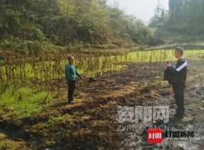 地里除草引發(fā)森林火災(zāi) 女子不慎燒毀林木7000多株