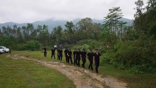 拒不執(zhí)行 剃頭 行動(dòng)來(lái)了