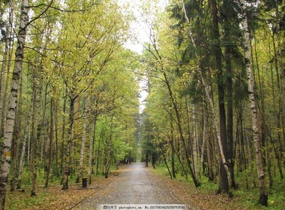 秋季林間小道風(fēng)景