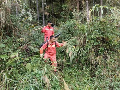深讀丨直擊我市森林防護(hù)一線 守護(hù)粵北大地“綠肺”的護(hù)林人與蔬菜的培育